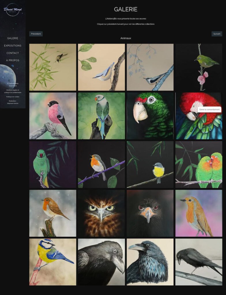 galerie des œuvres de David Morel