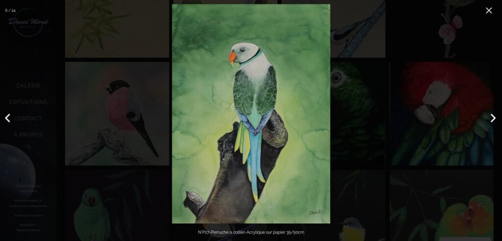 exemple de vue agrandie d'une œuvre